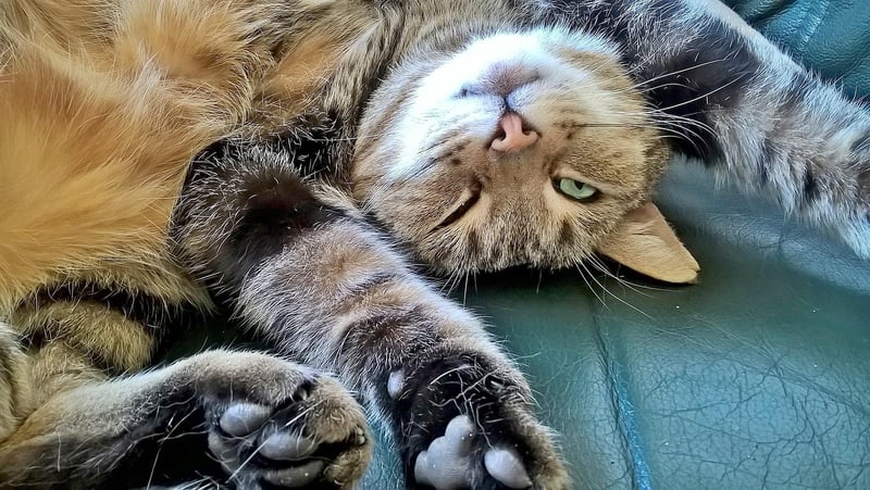 Stretching for Relaxation